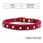 Collar For Small Cats & Dogs