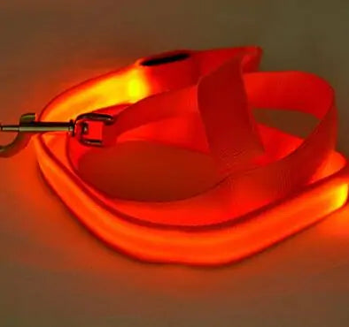 Glow In Dark Dog Leash