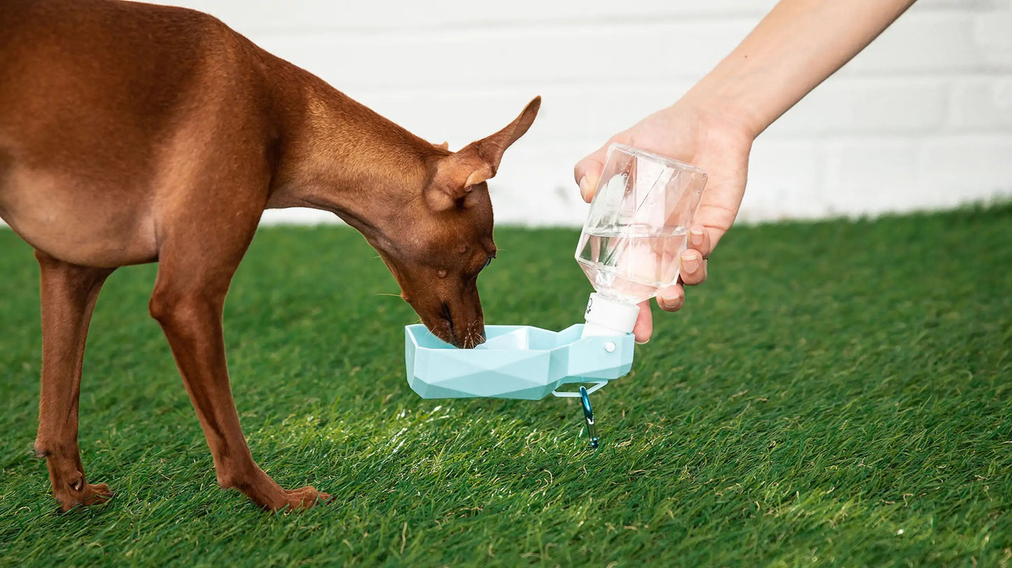 Pet Water Bottle