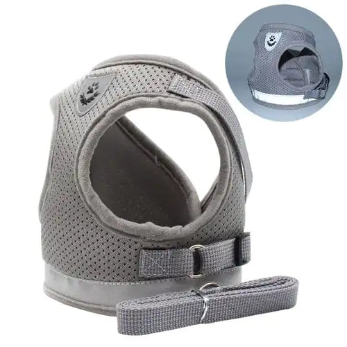 CozyCat Pet Harness And Leash