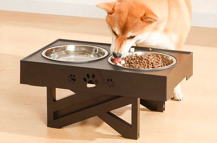 Adjustable Height Double-Bowl Pet Support Table