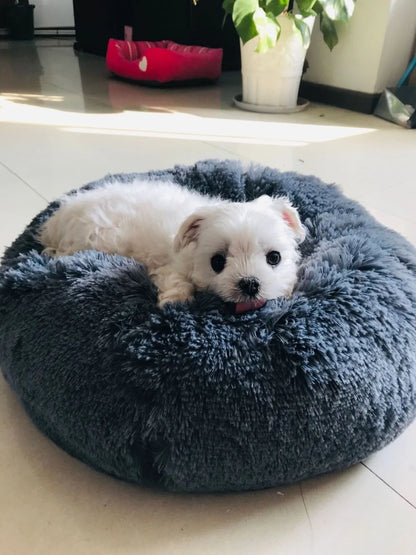 Super Soft Pet Bed Kennel