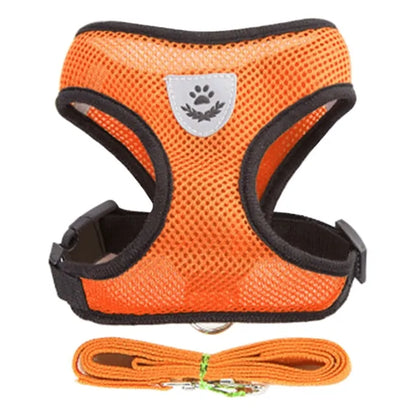 Adjustable Dog Harness