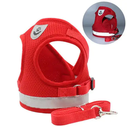 CozyCat Pet Harness And Leash