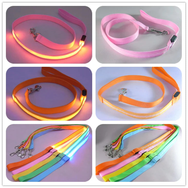 Glow In Dark Dog Leash