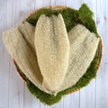 Ugandan Exfoliator Natural Loofah (Ekyangwe)