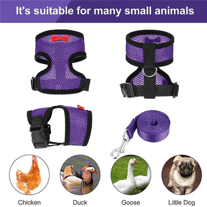 Chicken Harness with Leash Adjustable Chicken Leash for Hens Duck Puppy Breathable Comfortable Pet Harness 3 Sizes Y5GB