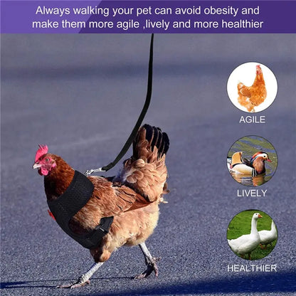 Chicken Harness with Leash Adjustable Chicken Leash for Hens Duck Puppy Breathable Comfortable Pet Harness 3 Sizes Y5GB